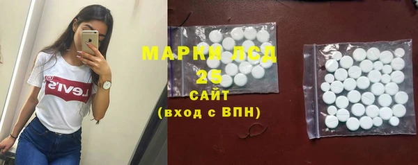 apvp Алзамай