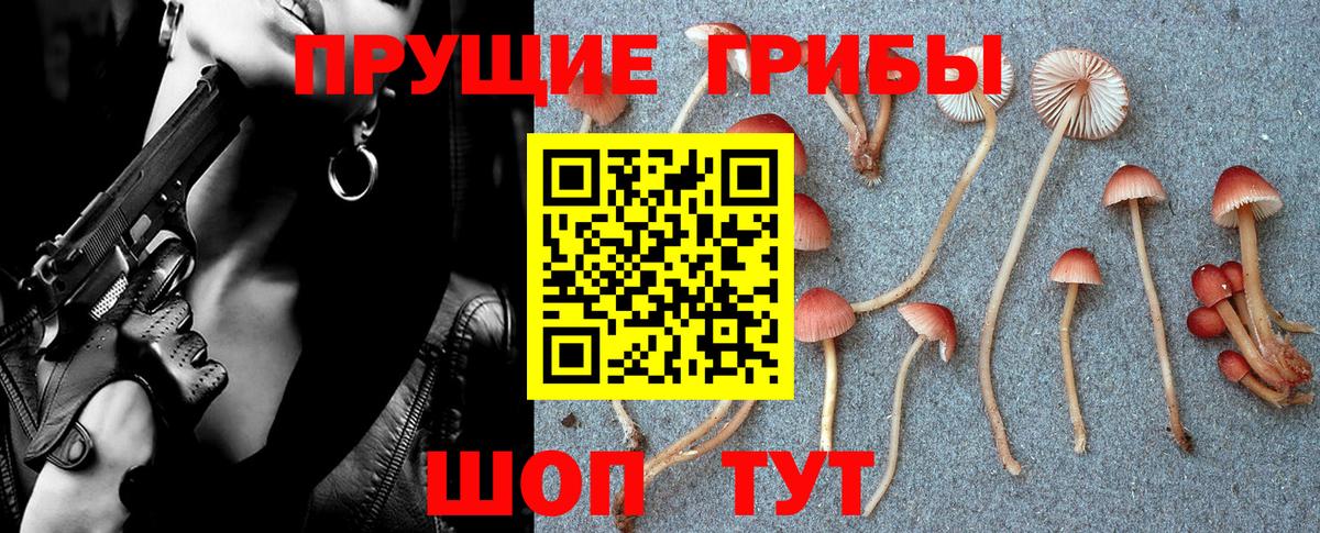 ГАШИШ  НБОМе  МЕФ кристаллы  Вход с VPN  Находка  Бошки Шишки 