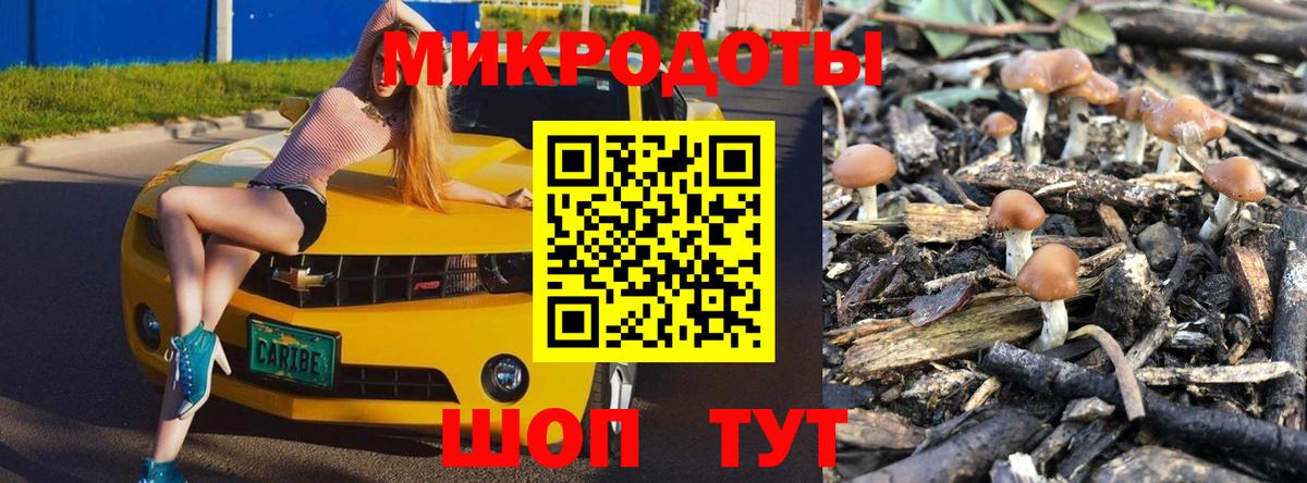 Псилоцибиновые грибы Magic Shrooms  наркота  Находка  Вход с VPN  Галлюциногенные грибы Psilocybe 